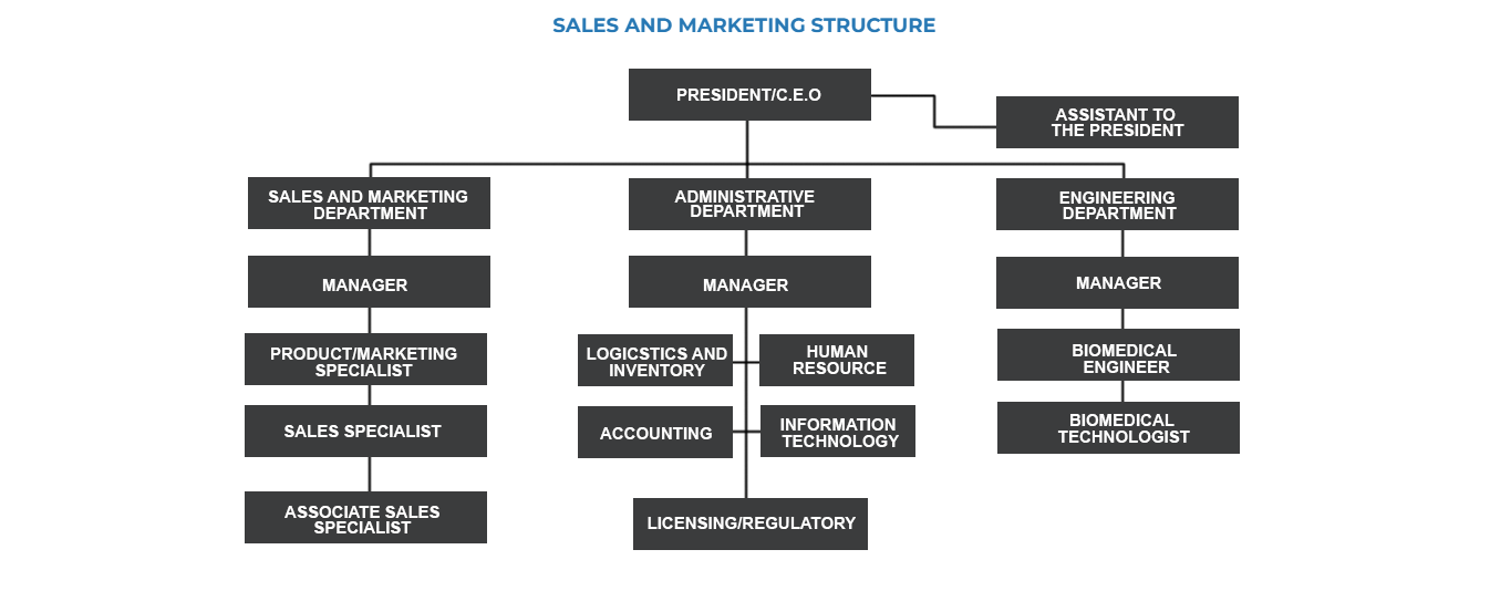 Sales and Marketing Structure organizational chart